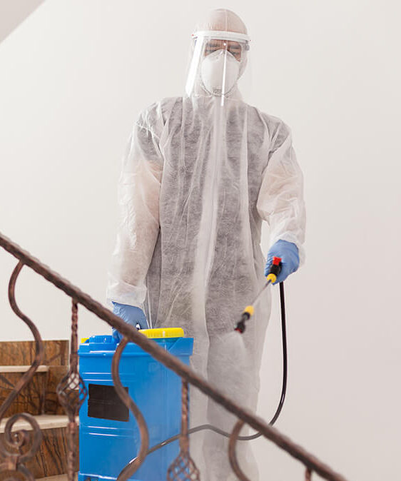 pest control 2 2 e1732094543560